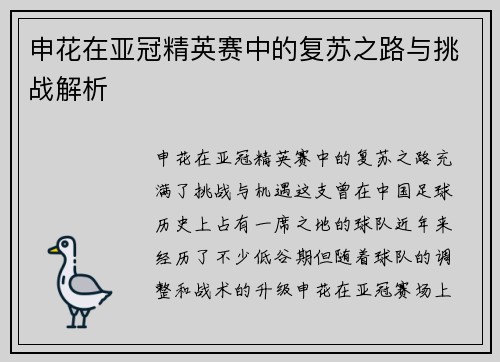 申花在亚冠精英赛中的复苏之路与挑战解析